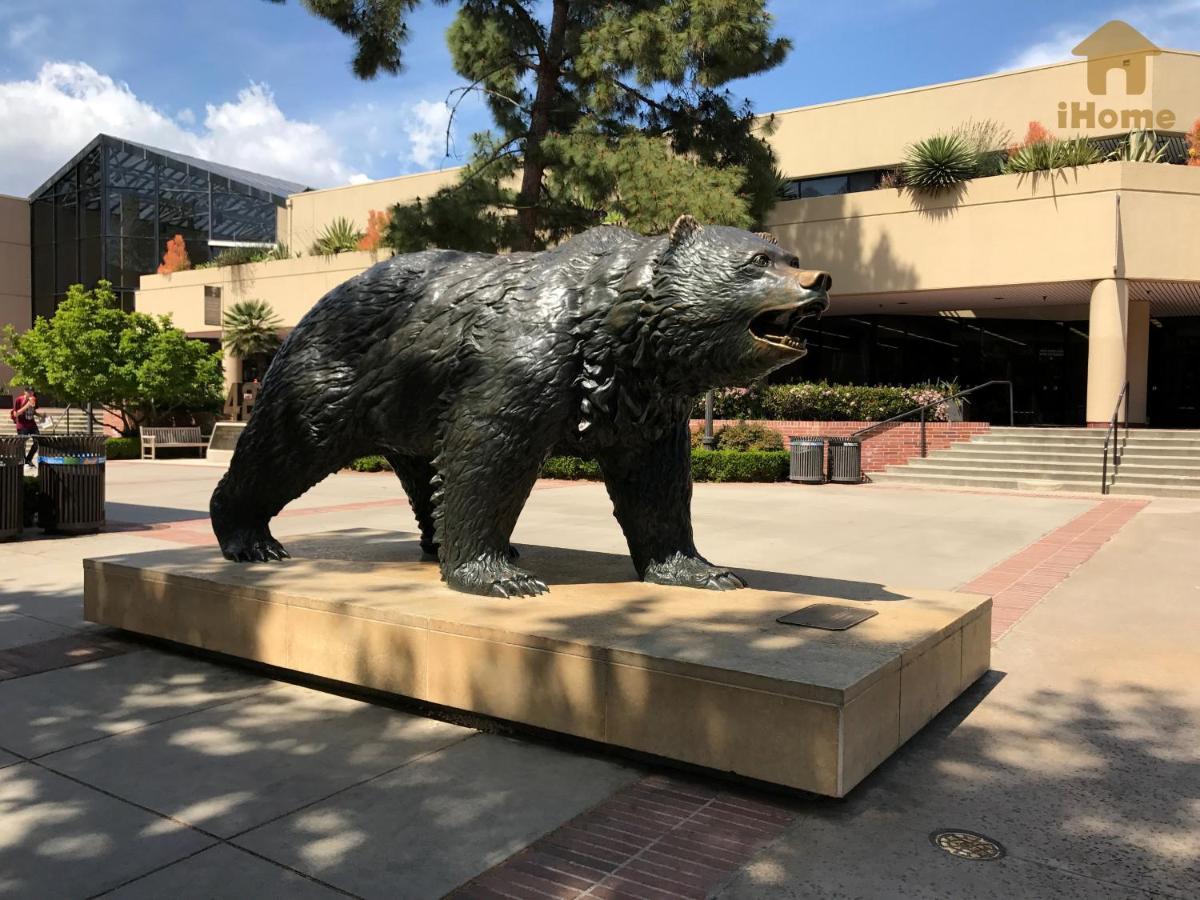 Perfect Apt Near Ucla W Parking Gym Pool Wifi In Westwood B3 Λος Άντζελες Εξωτερικό φωτογραφία